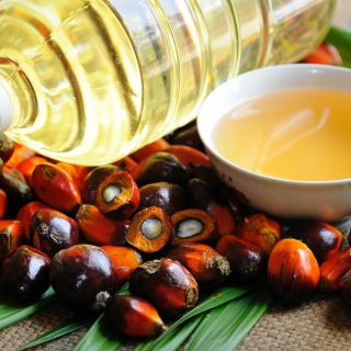 Extracto de Frutos de Palma